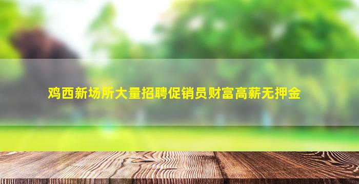 鸡西新场所大量招聘促销员财富高薪无押金